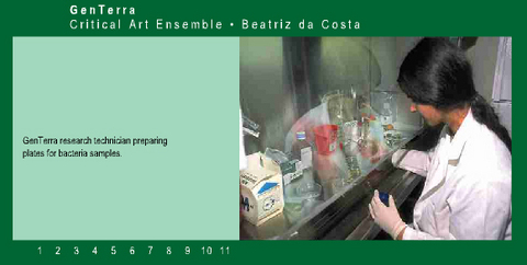 Critical Art Ensemble (CAE) »GenTerra«